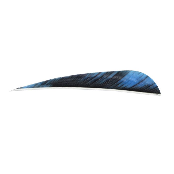 SAS 4-in Parabolic RW Feathers