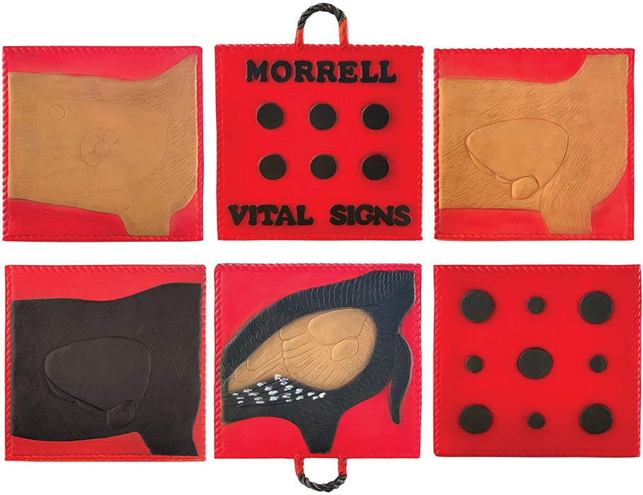 Morrell Vital Signs 2 Combo Foam Target for Field Point/Broadhead - Made in USA