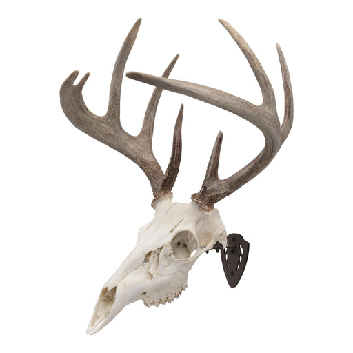 Allen Company EZ Mount Skull Hanger Fixed - Brown