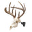 Allen Company EZ Mount Trophy Skull Hanger - Black