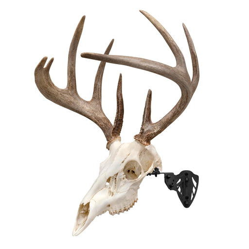 Allen Company EZ Mount Trophy Skull Hanger - Black