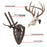 Allen Company EZ Mount Skull Hanger Fixed - Brown