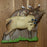 Rinehart Game Room Hunt Series Dartboards - Deer, Elk & Velociraptor Boards