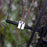 Limbsaver Universal Cable Slide - White