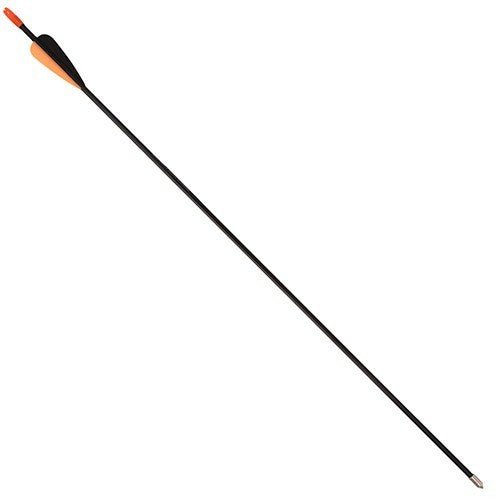 Bear Archery Brave Bow Set Black Compound Youth Target Practice Package