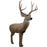 Rinehart Signature Series Mule Deer 3D Foam Archery Target