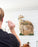 Rinehart Game Room Hunt Series Dartboards - Deer, Elk & Velociraptor Boards