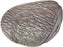Rinehart Targets Signature Boar Insert