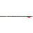 Gold Tip Hunter 300 Arrow with 2" Raptor Vanes - 6/Pack