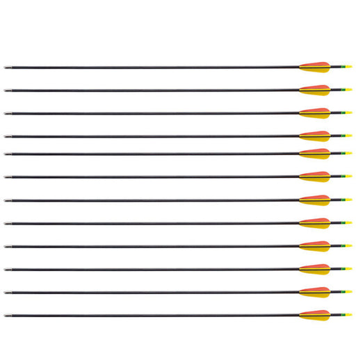 SAS Fiberglass Arrows Flatched with Vanes Nocks Recurve 1 DZ - Open Box