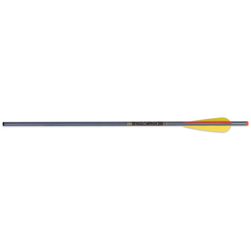 TenPoint Superbrite 20" 2219 Aluminum Arrows, 435-grains