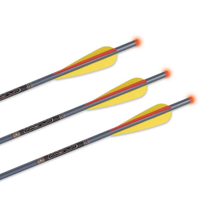 TenPoint Omni-Brite Lighted 20" 2219 Aluminum Crossbow Arrows
