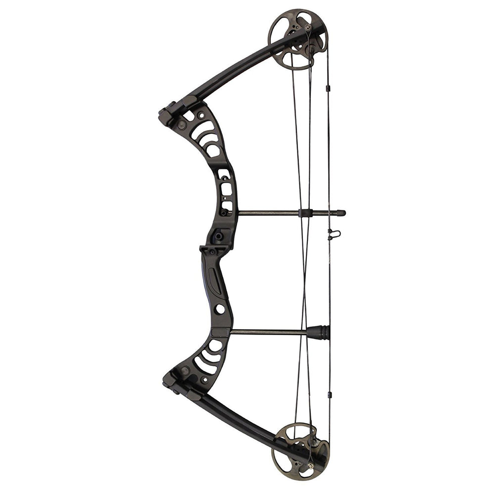 SAS Scorpii 55 Lb 29" Compound Bow Hunting Target Shooting Archery BowFishing