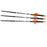 Ravin Lighted Arrows 400gr .001 3/PK