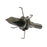 Muzzy Bowhunting SG-X Small Game Grasshopper Broadheads 100 or 125 Grain- 3/Pack