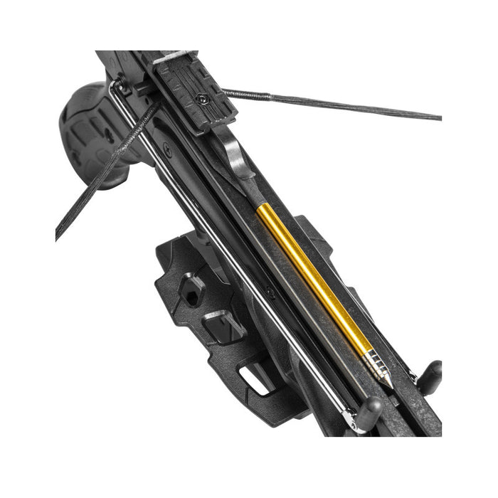 Bear Archery Bear X Desire XL Pistol Crossbow 175 FPS - Black —  /TheCrossbowStore.com