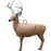 Morrell Targets Transformer Buck 3D Archery Target - Brown