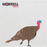 Morrell NASP-IBO Turkey Two Sided Lifesize Target Face